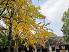 -西园戒幢律寺