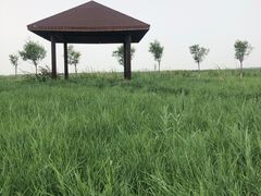 -西青郊野公园