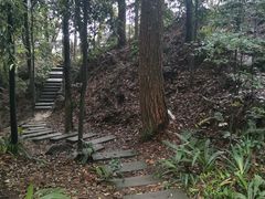 -缙云山景区
