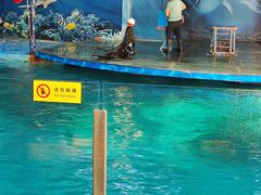 -苏州海洋馆