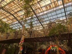 -呀路古热带植物园