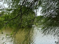 -深圳仙湖植物园