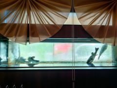 -蟹后Crabber(水悦城店)