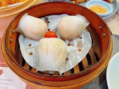 -点都德(世纪汇店)