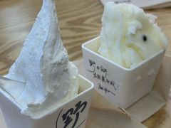 -野人先生Gelato(上海长宁龙之梦店)