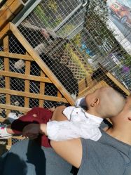 -萌宠亲子动物乐园(槐房万达店)