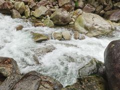 -大鄣山卧龙谷景区