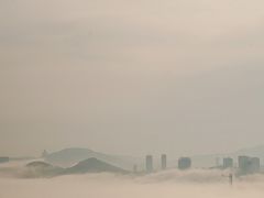 -星海湾跨海大桥