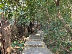 -小南山公园
