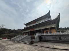 -铁山坪森林公园