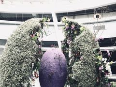 -深圳国际园林花卉博览园