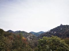 -贵州百里杜鹃风景名胜区