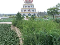 android_upload_pic-灵山莲花公园-温泉度假区