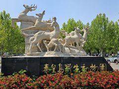 -秦皇岛野生动物园