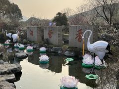 -香雪海