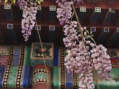 -北京市劳动人民文化宫(太庙)