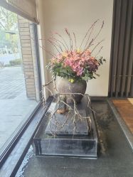 -美玫美容SPA护理中心