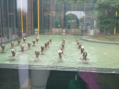 -上海崇明金茂凯悦酒店