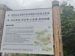 -稻城亚丁景区-冲古草甸