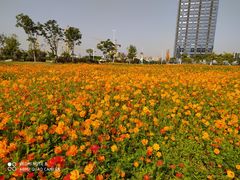 -映月湖中央公园