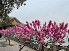 -颐和园