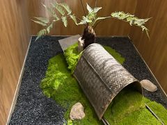 -7017浙菜•建德味(中财店)