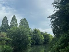 -西溪国家湿地公园