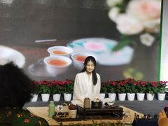 -诗宇时光茶艺书法古琴培训