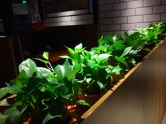 -山之屋炭火烧肉·生啤畅饮(大朗万科中央公园店)