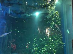 -成都浩海立方海洋公园