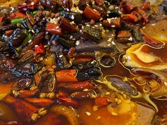 -宏宴·新京菜(望京店)