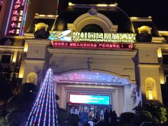 -碧桂园凤凰城酒店(南京店)