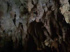 -怀托摩萤火虫洞