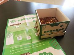 真香植物基皇堡培育盒-汉堡王(西直门凯德MALL店)