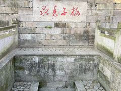 -绍兴镜湖国家城市湿地公园