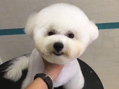 -芭比堂动物医院·24小时·眼科中心(深圳中心)