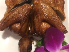 吊烧乳鸽-广顺鑫猪肚鸡(经八路店)