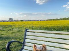 -欧奕国际动物医院