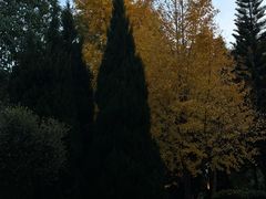 -西昌邛海宾馆