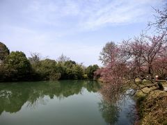 -西溪国家湿地公园