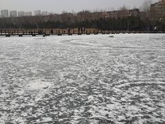 -前关湿地公园