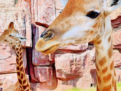 -济南野生动物世界