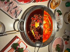 -小龙坎火锅(春熙太古里店)