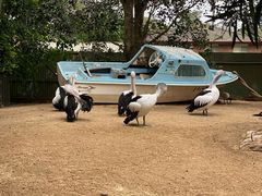 -费瑟代尔野生动物园