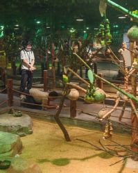 -酷嗒动物文化乐园(cutezoo西溪乐天城店)