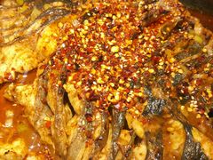 油泼香辣-鱼酷活鱼烤鱼(沈阳大悦城店)