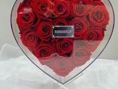 -ROSEONLY诺誓(青岛万象城店)