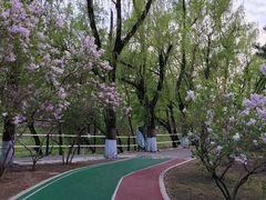 -黛秀湖公园