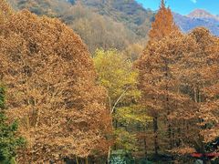 -秦岭终南山世界地质公园翠华山景区