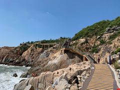 -广东惠东海龟国家级自然保护区